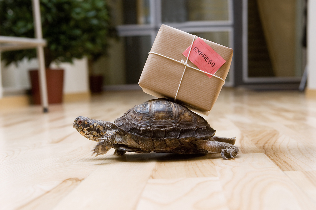 5 Things that Slow Down your Credentialing Process 