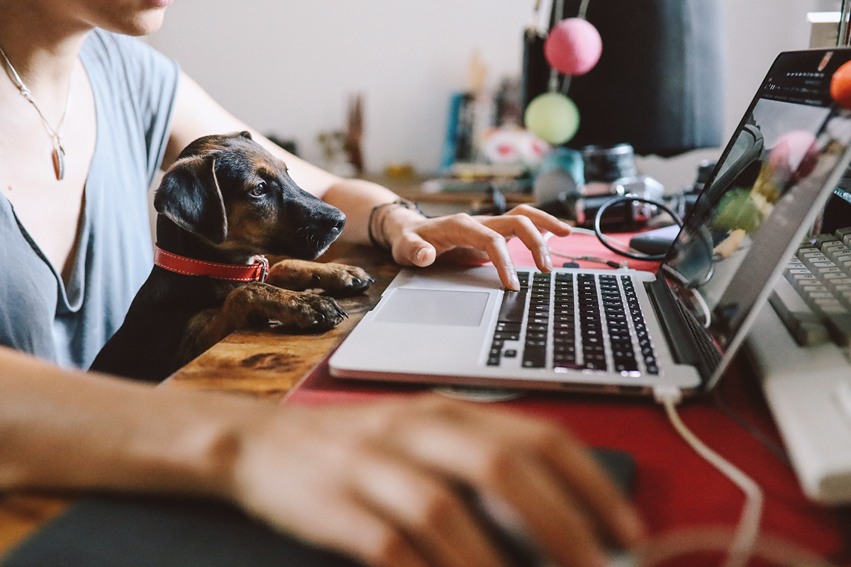 Working from Home: Creating Success and Support for Credentialing Staff in a Remote Environment